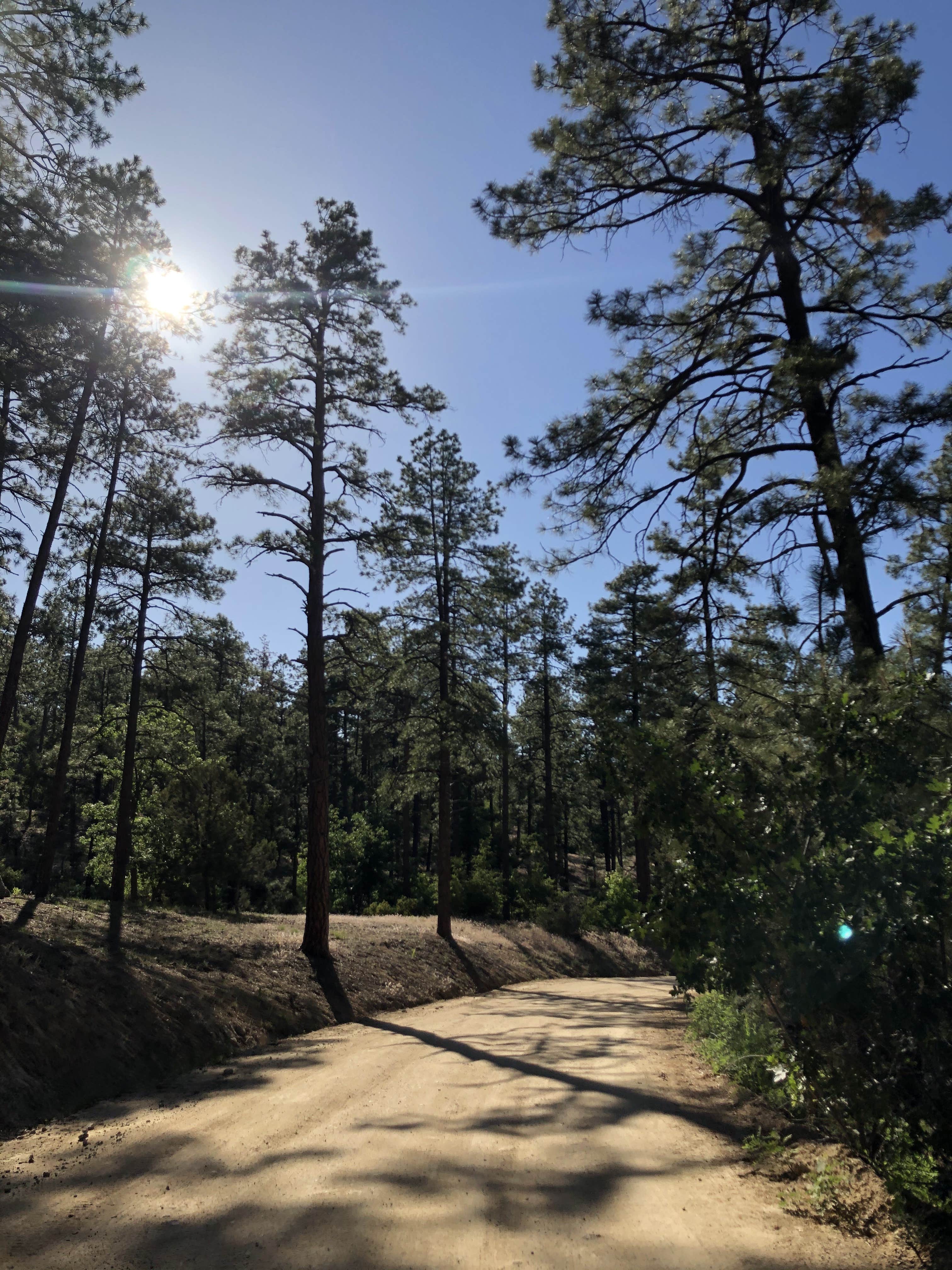 Camper-submitted photo at FDR 373 Thumb Butte Loop near Prescott Valley, AZ