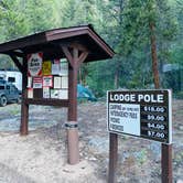 Review photo of Lodgepole (taylor River Canyon Near Gunnison, Colorado) by Fabio O., June 28, 2020
