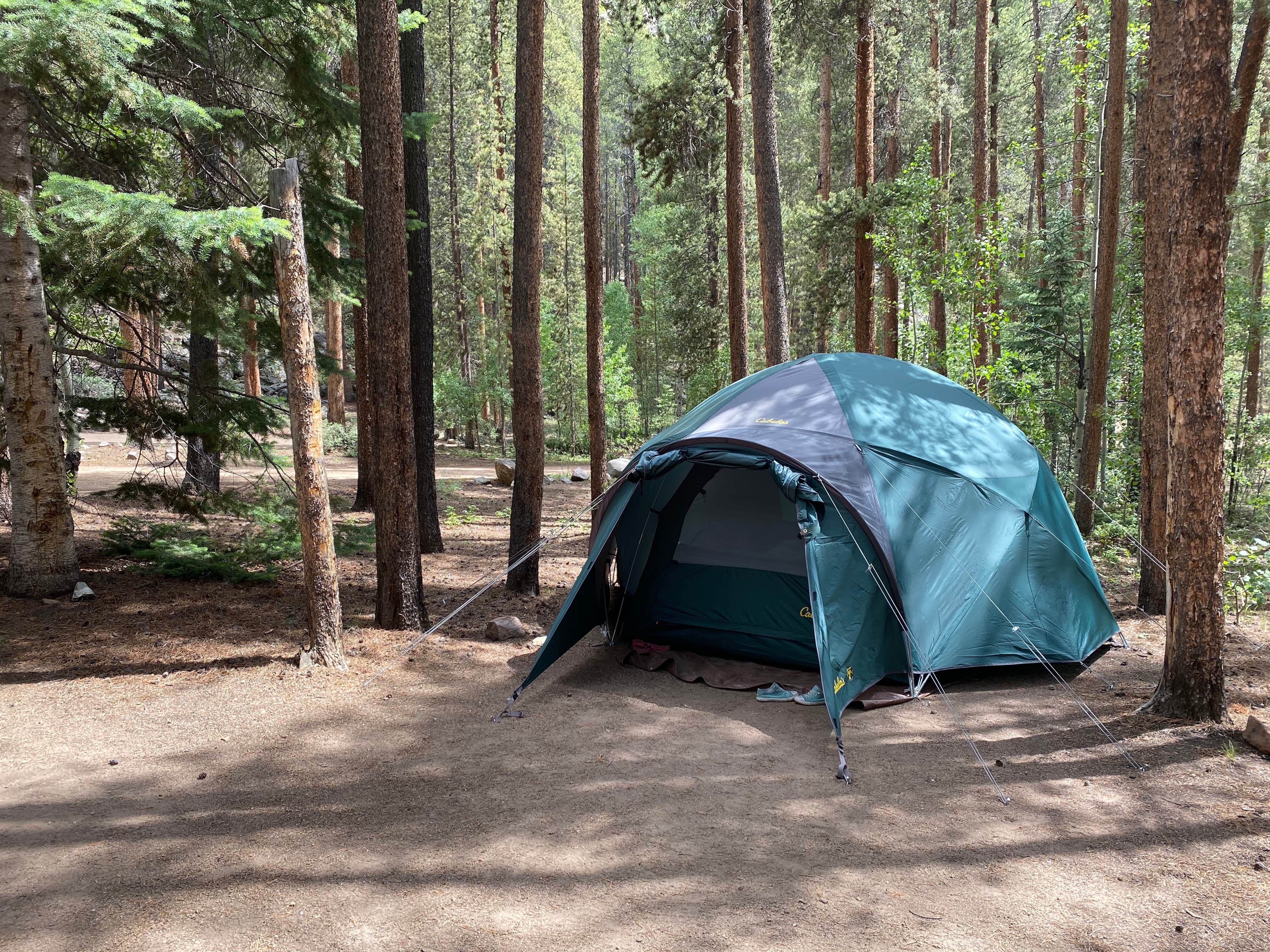 Fabio O.'s photo at Lodgepole (taylor River Canyon Near Gunnison, Colorado) near Pitkin, CO
