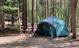Fabio O.'s photo at Lodgepole (taylor River Canyon Near Gunnison, Colorado) near Almont, CO
