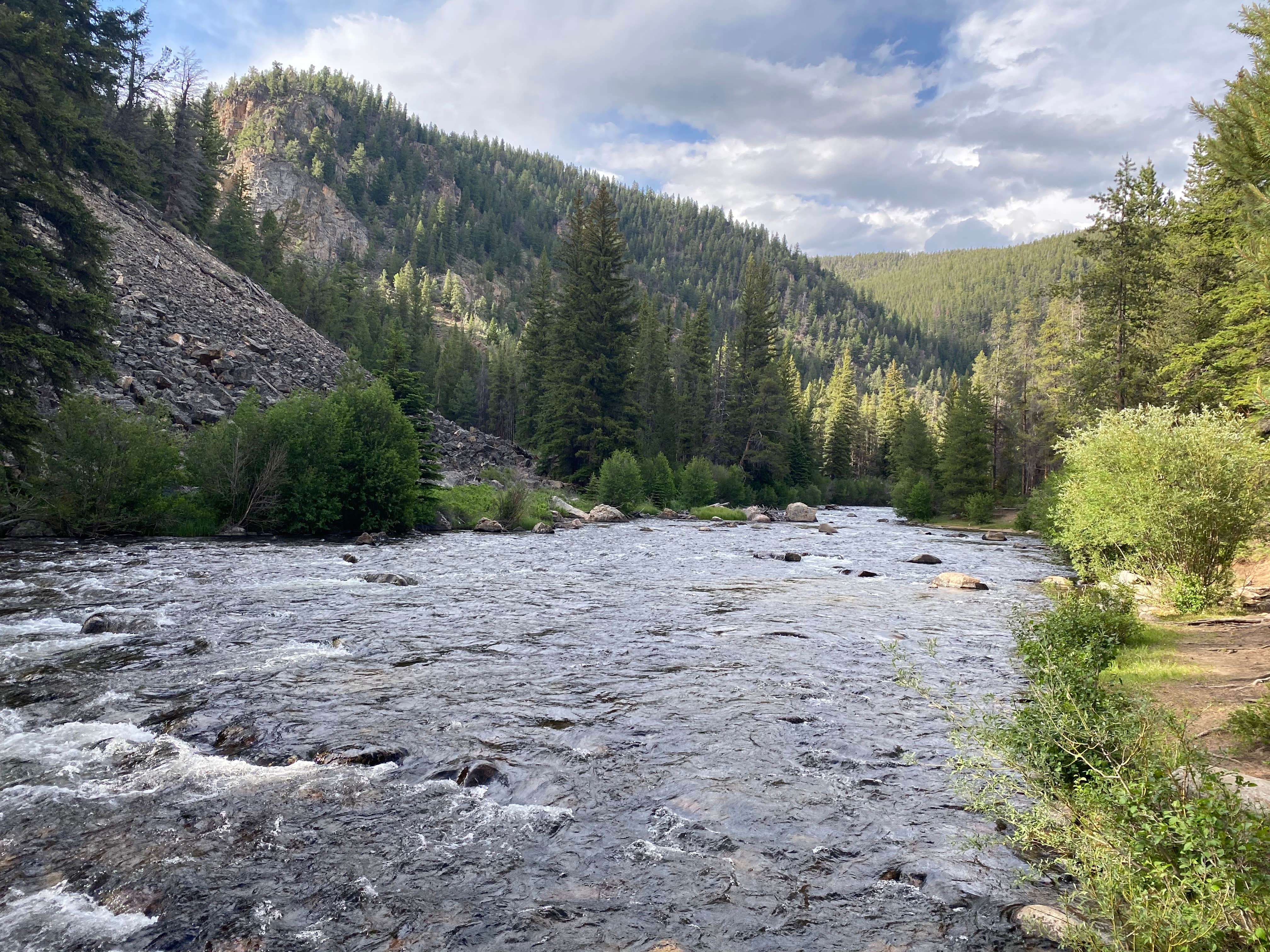 Camper submitted image from Lodgepole (taylor River Canyon Near Gunnison, Colorado) - 3