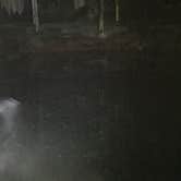 Review photo of Mammoth Cave Campground — Mammoth Cave National Park by Daniel S., November 1, 2017