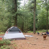 Review photo of Michaux State Forest by Tommy S., June 28, 2020