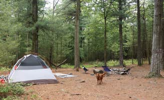 Tommy S.'s photo at North Michaux State Forest Campsites near Fannettsburg, PA