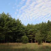 Review photo of Michaux State Forest by Tommy S., June 28, 2020