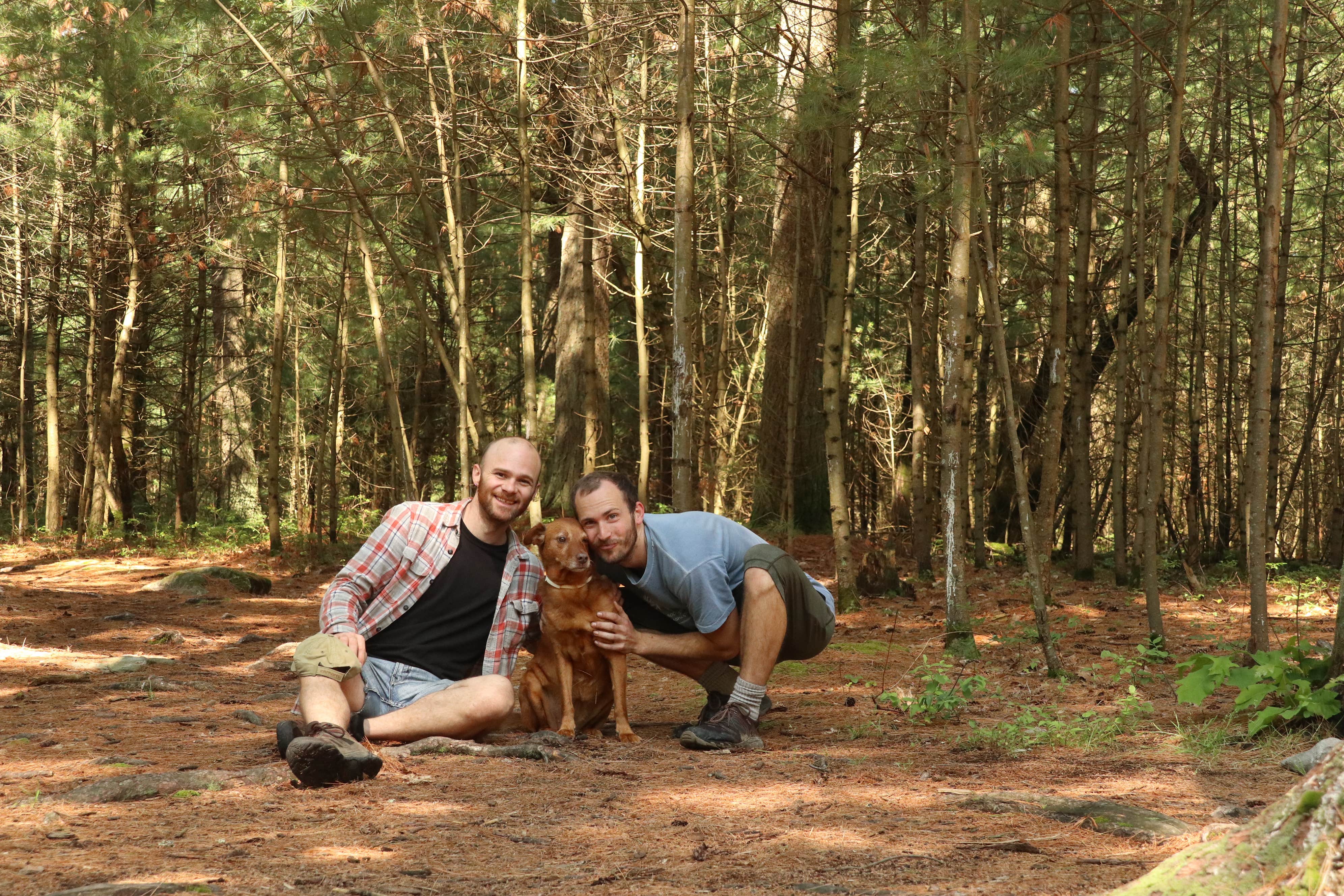 Tommy S.'s photo of camping with pets at North Michaux State Forest Campsites near Gettysburg, PA