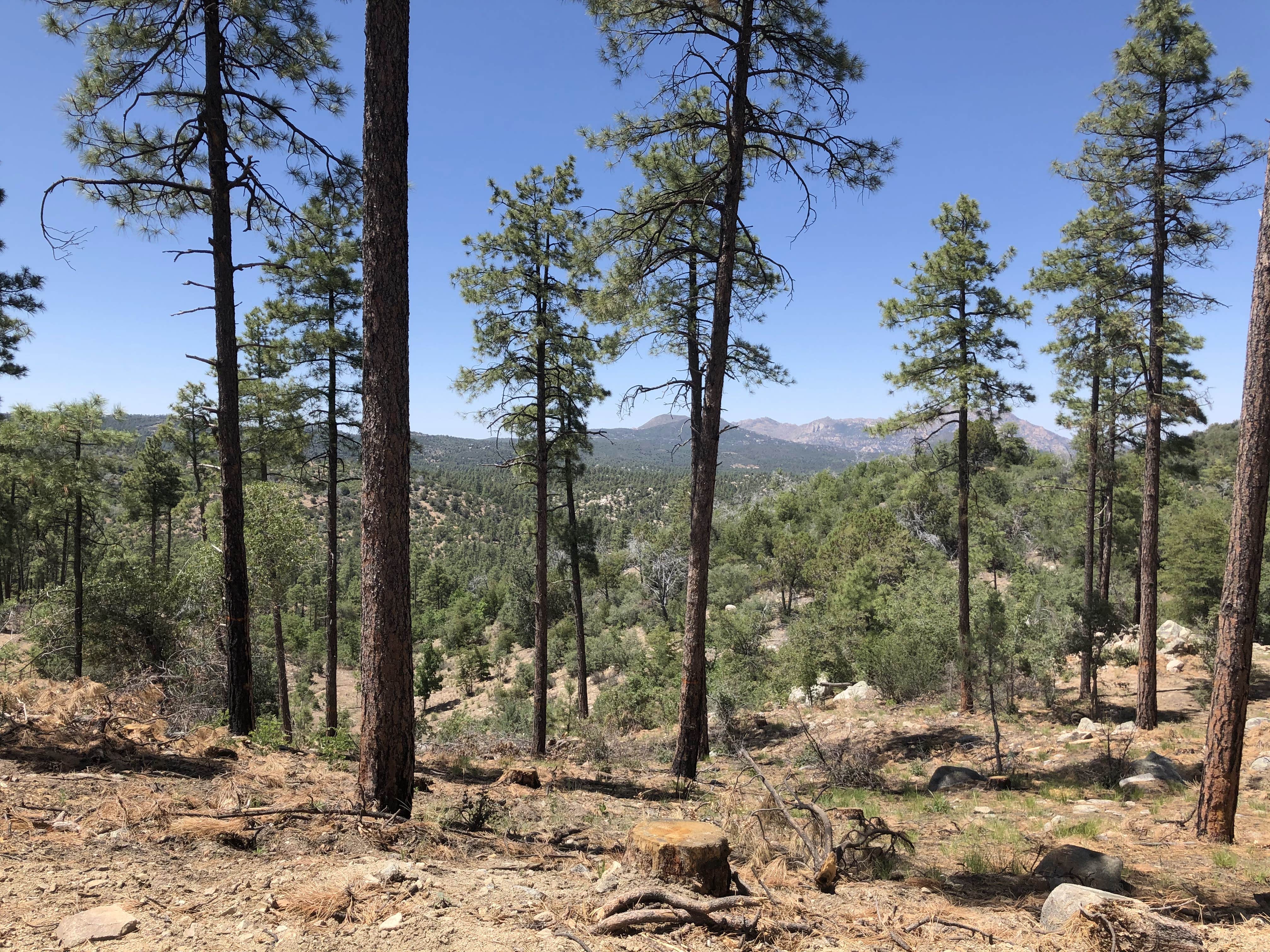 Watson Lake Prescott City Park The Dyrt