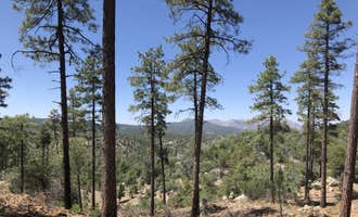 Camping near Emmanuel Pines Camp: C64 Copper Basin Road Dispersed Camping, Prescott, Arizona