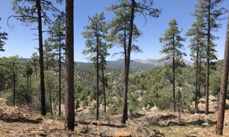 Camping near Prescott National Forest Dispersed: C64 Copper Basin Road Dispersed Camping, Prescott, Arizona