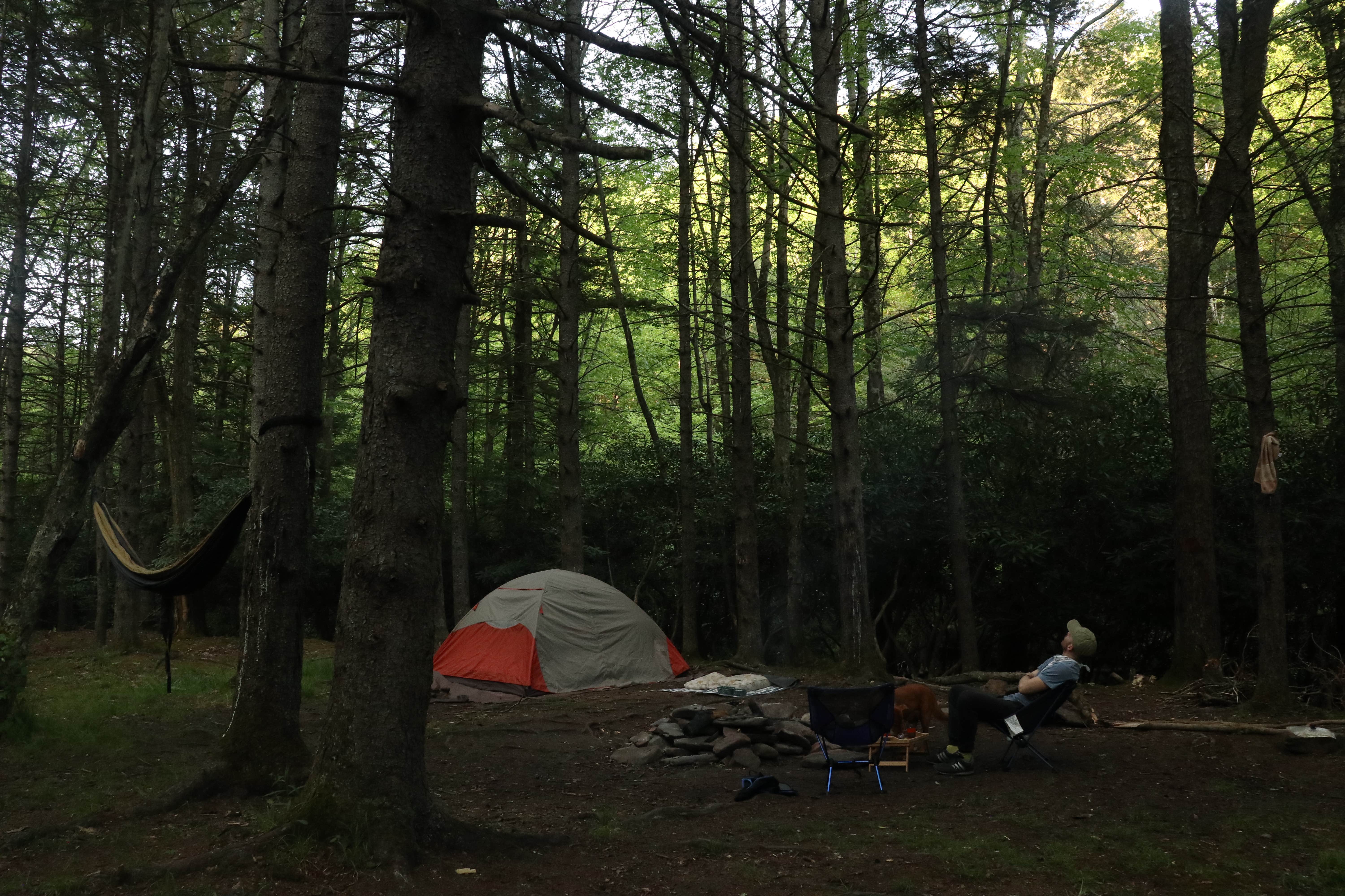 Tommy S.'s photo of a dispersed camping area at Gandy Creek Dispersed Camping near Monterville, WV