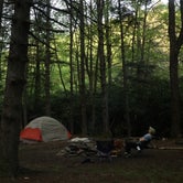 Review photo of Gandy Creek Dispersed Camping by Tommy S., June 28, 2020