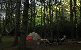 Tommy S.'s photo of a dispersed camping area at Gandy Creek Dispersed Camping near Marlinton, WV