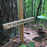 Review photo of Red Top Mountain State Park Campground by Brandon W., June 28, 2020