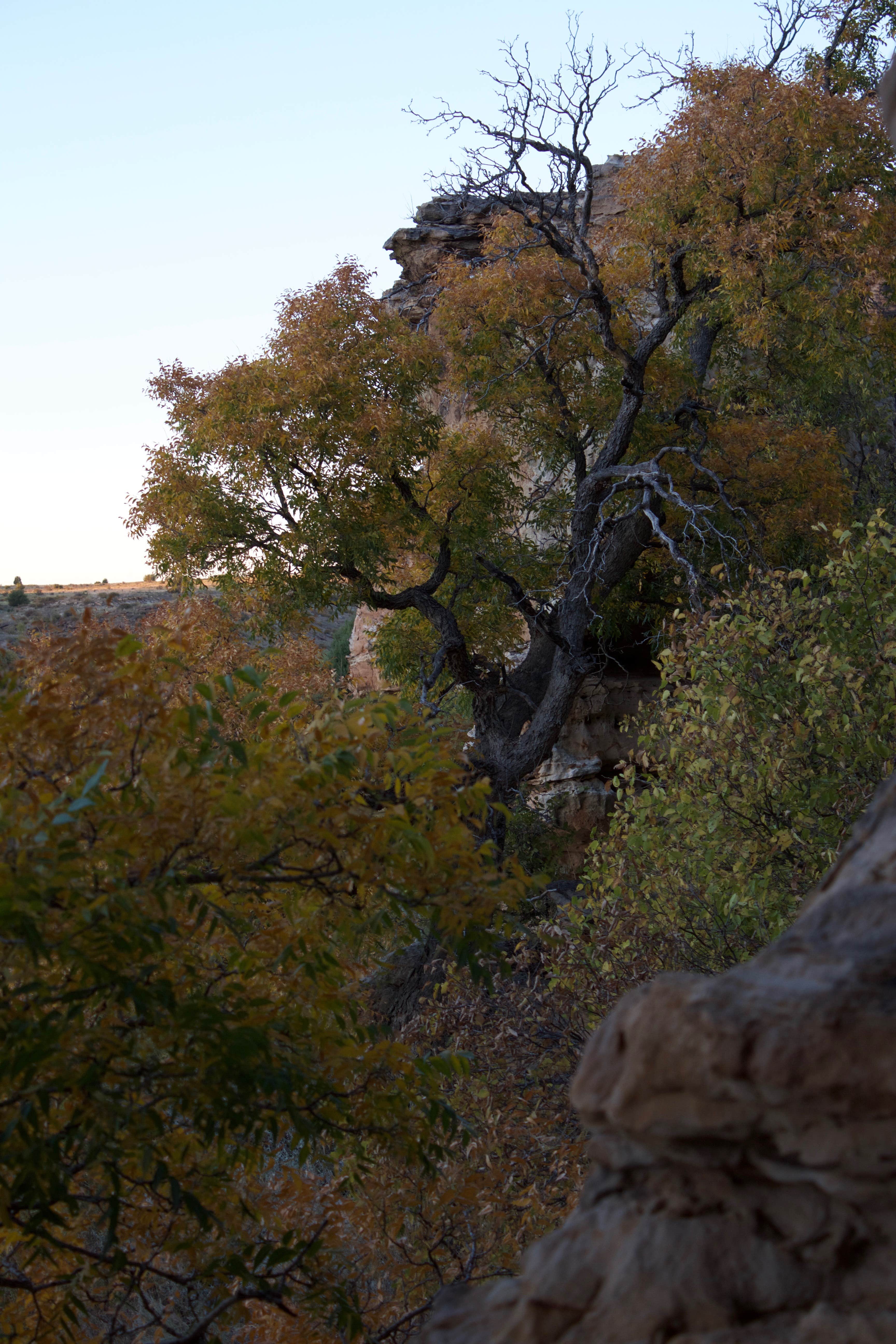 Camper-submitted photo at Clear Creek Rec Area near Means, KY