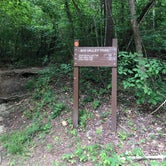 Review photo of Big Ridge State Park Campground by Lori H., June 28, 2020