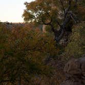 Review photo of Clear Creek Rec Area by Daniel S., November 1, 2017