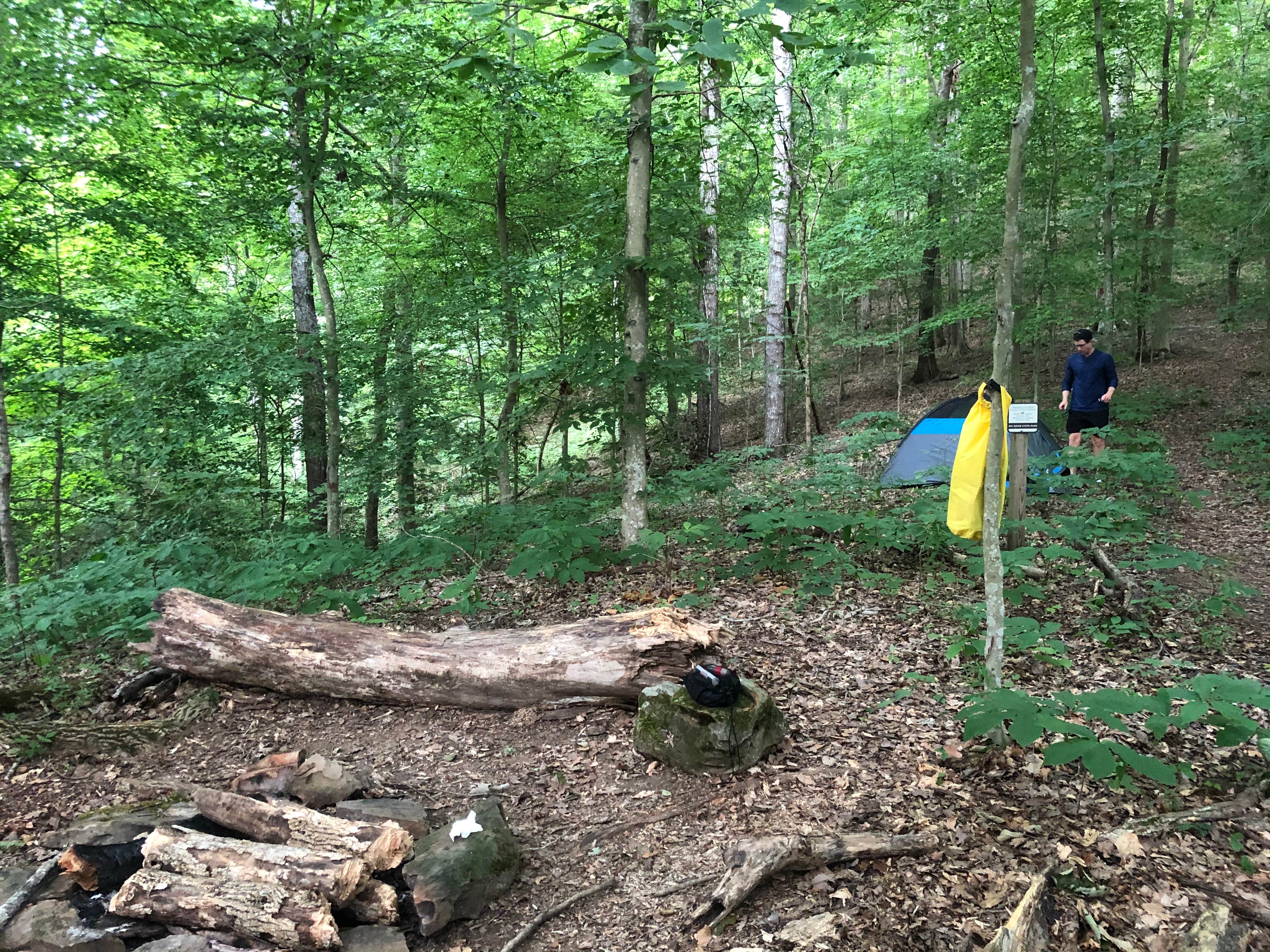 Lori H.'s photo at Big Ridge State Park Campground near Lake City, TN