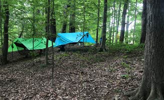 Lori H.'s photo at Big Ridge State Park Campground near Middlesboro, KY