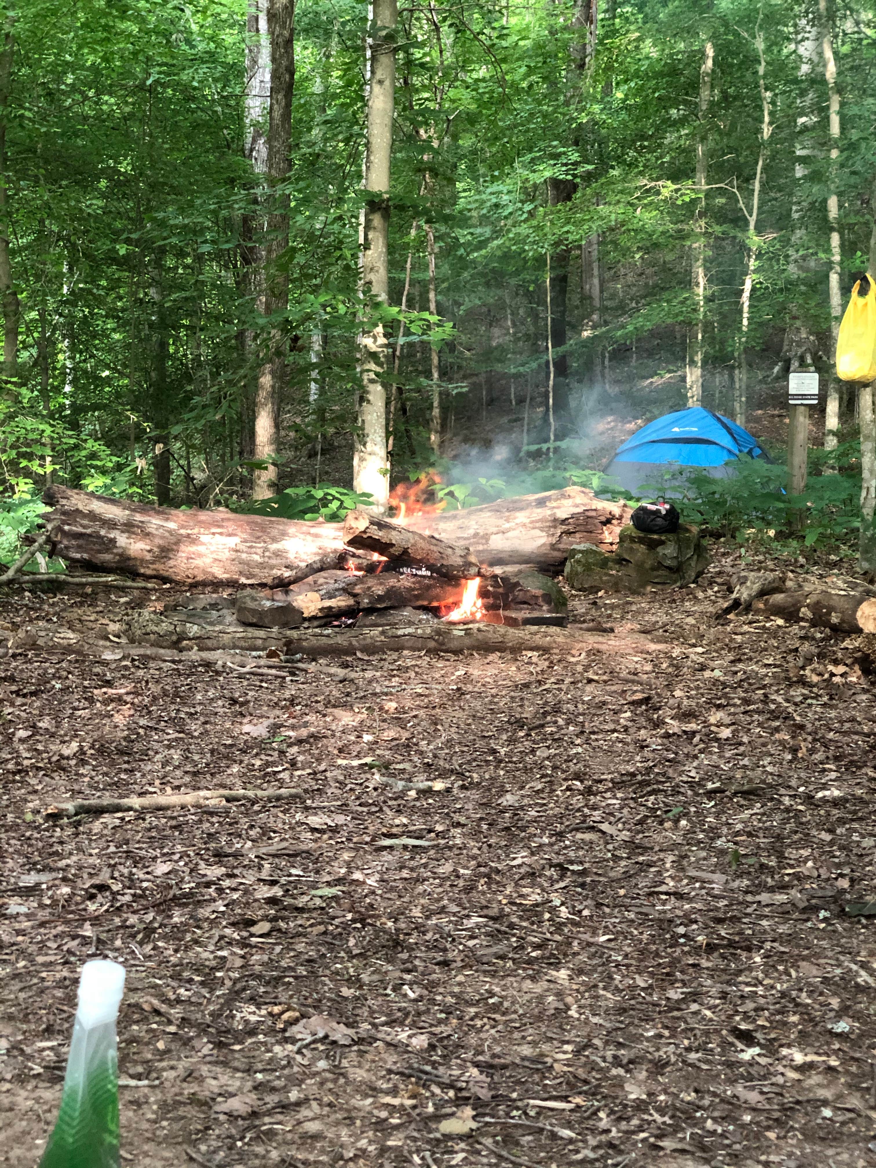 Lori H.'s photo at Big Ridge State Park Campground near Heiskell, TN