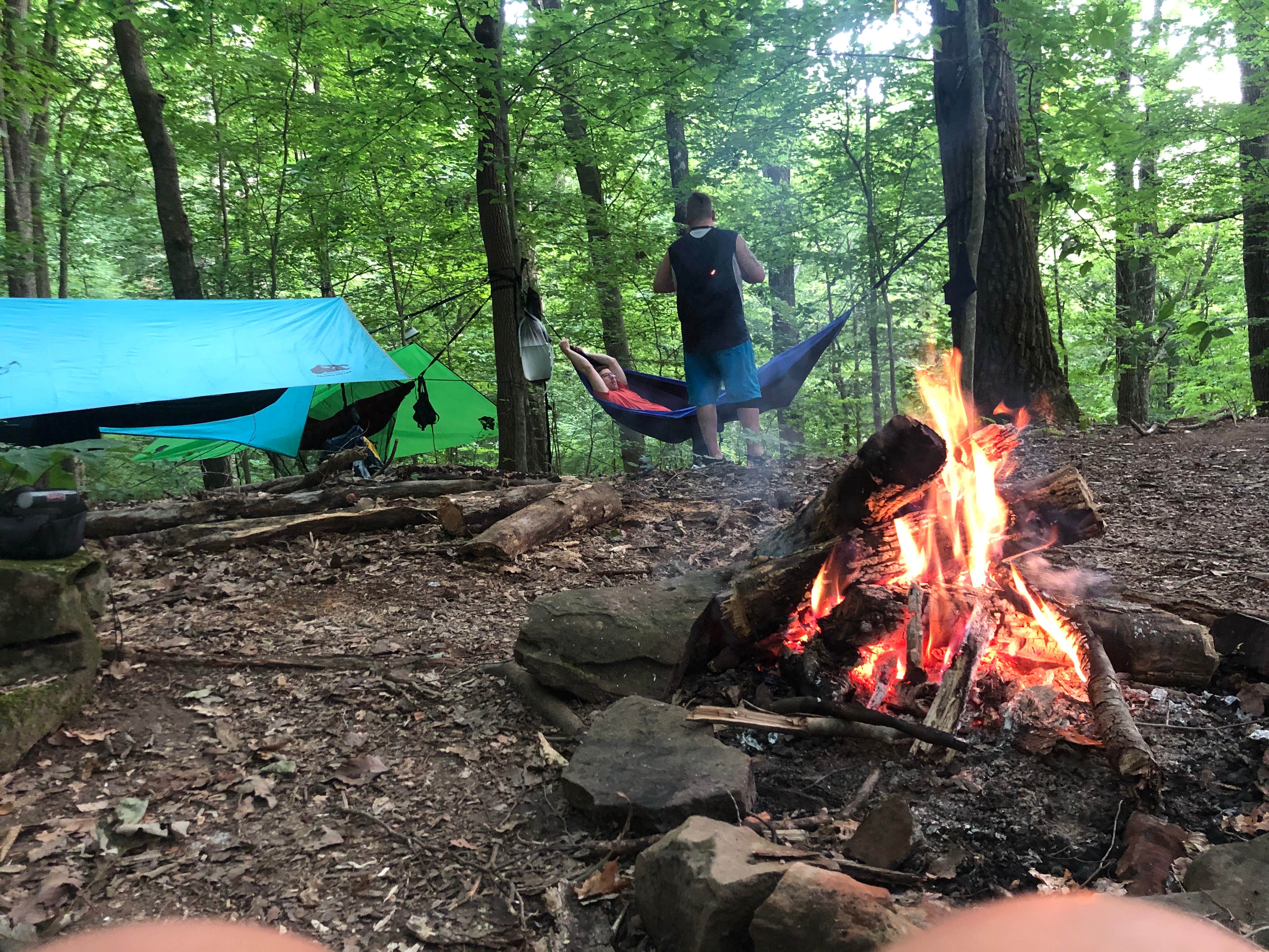 Lori H.'s photo at Big Ridge State Park Campground near Heiskell, TN