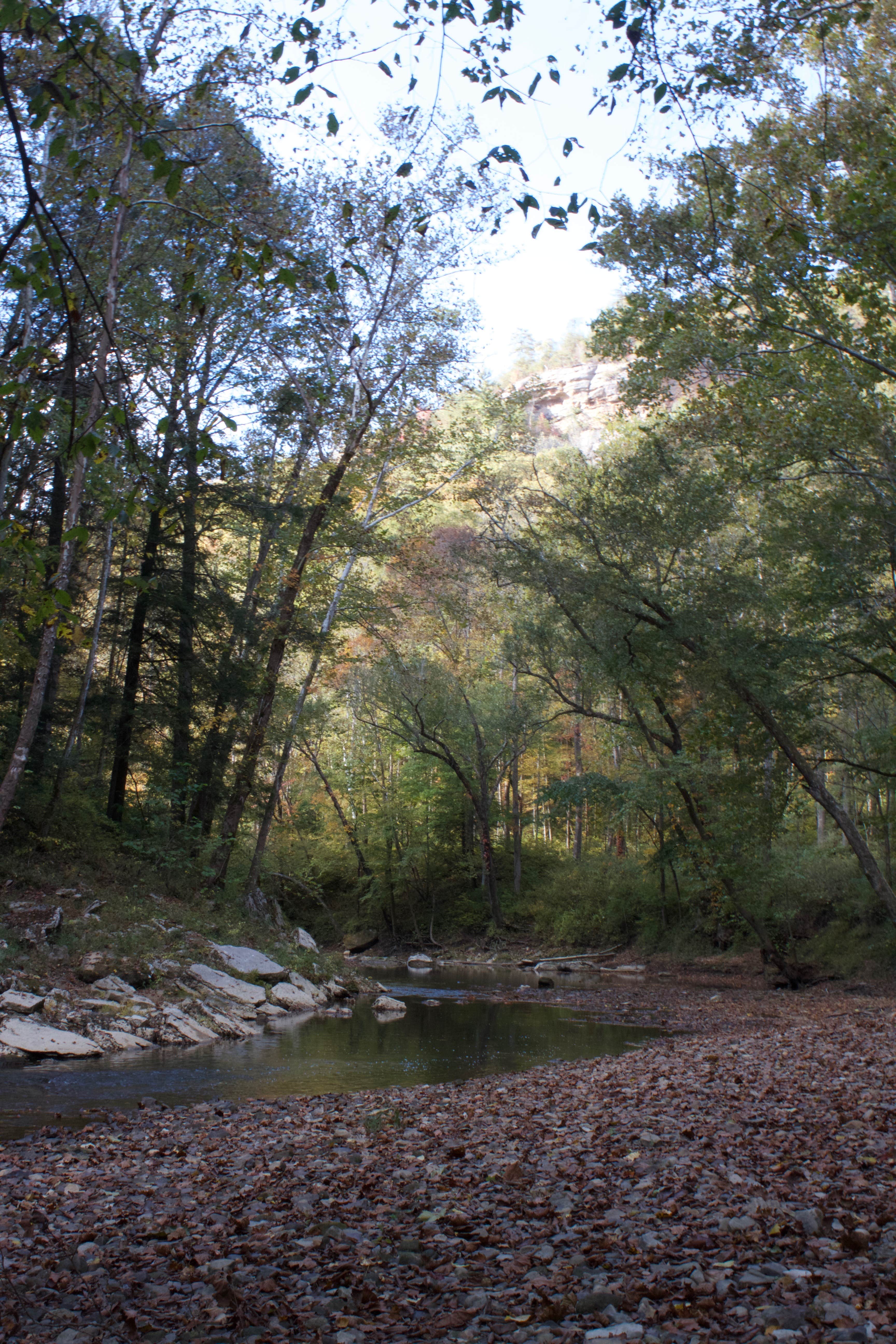 Camper-submitted photo at Clear Creek Rec Area near Means, KY
