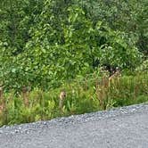 Review photo of Blueberry Lake State Recreation Site by Tanya B., June 28, 2020