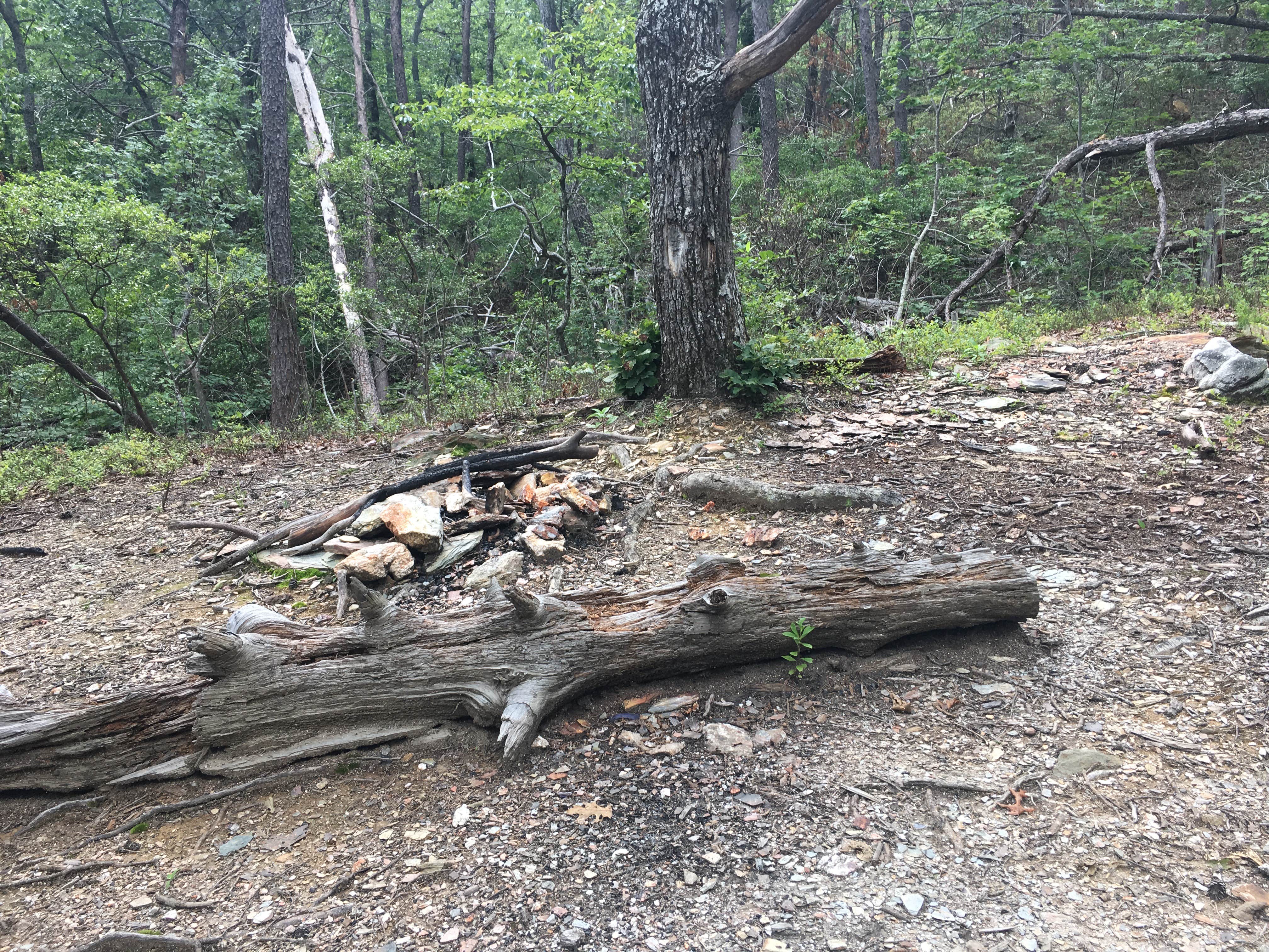 Camper-submitted photo at Cave Creek Trail Backcountry Campground near Lineville, AL