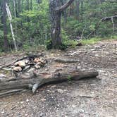 Review photo of Cave Creek Trail Backcountry Campground by Ethan K., November 1, 2017