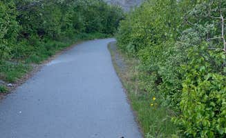 Tanya B.'s photo of camping with pets at Squirrel Creek State Recreation Site near Copper Center, AK