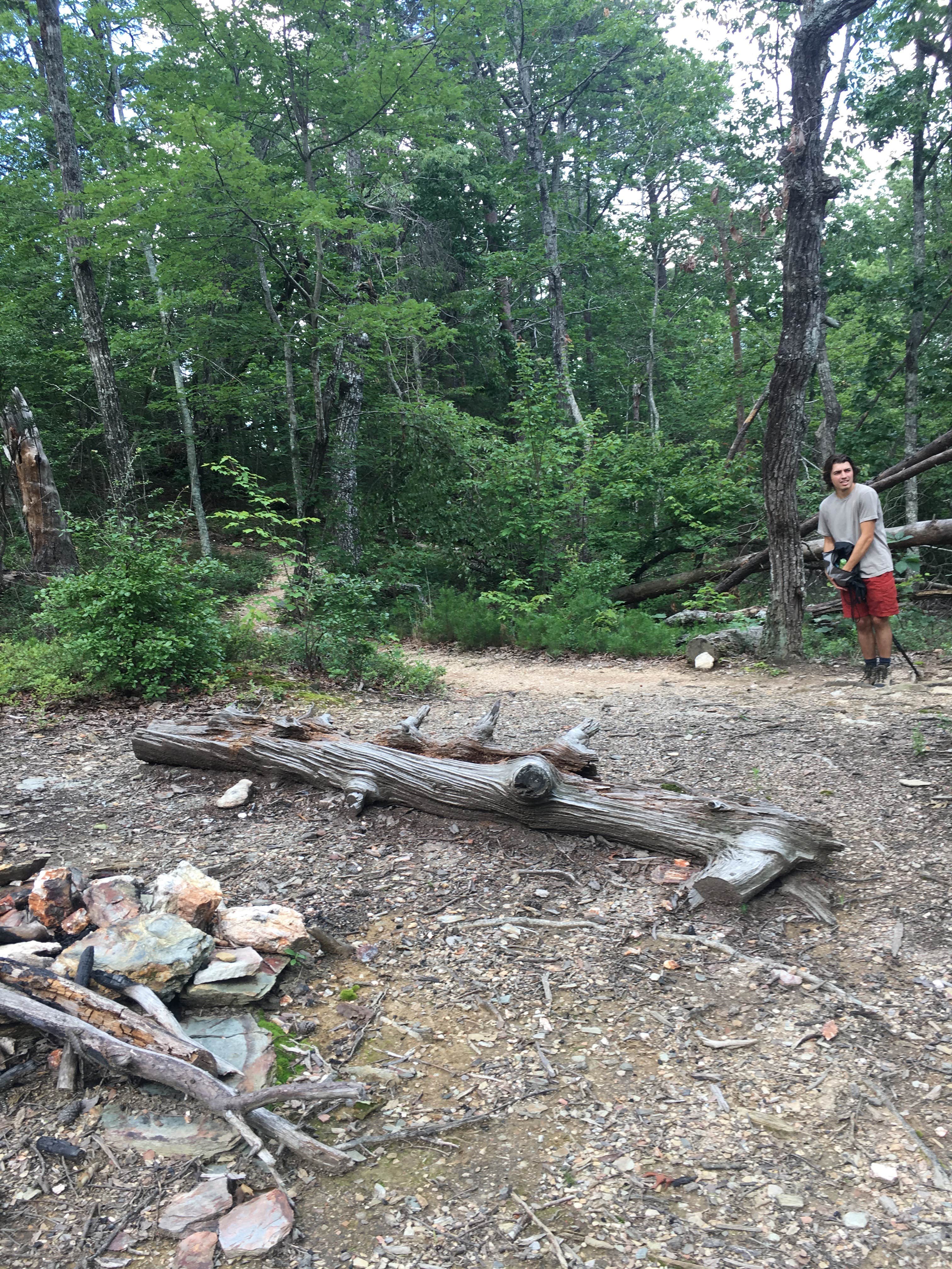 Camper submitted image from Cave Creek Trail Backcountry Campground - 1