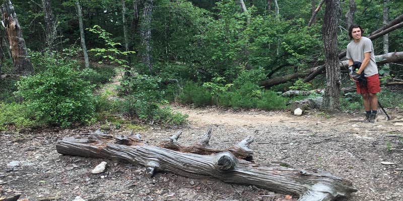 Camper submitted image from Cave Creek Trail Backcountry Campground