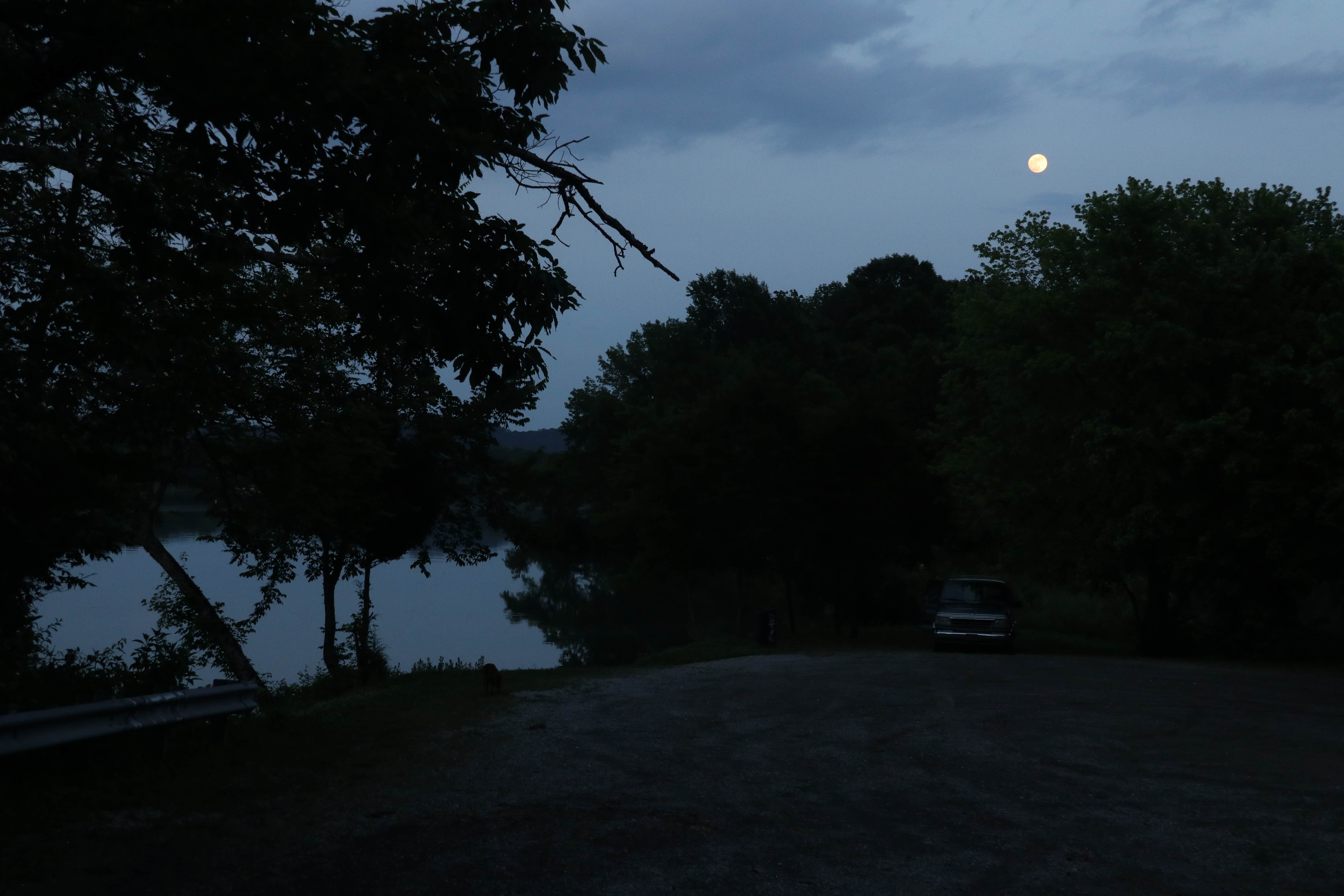 Camper submitted image from Holleman's Bend Camping Area - 3