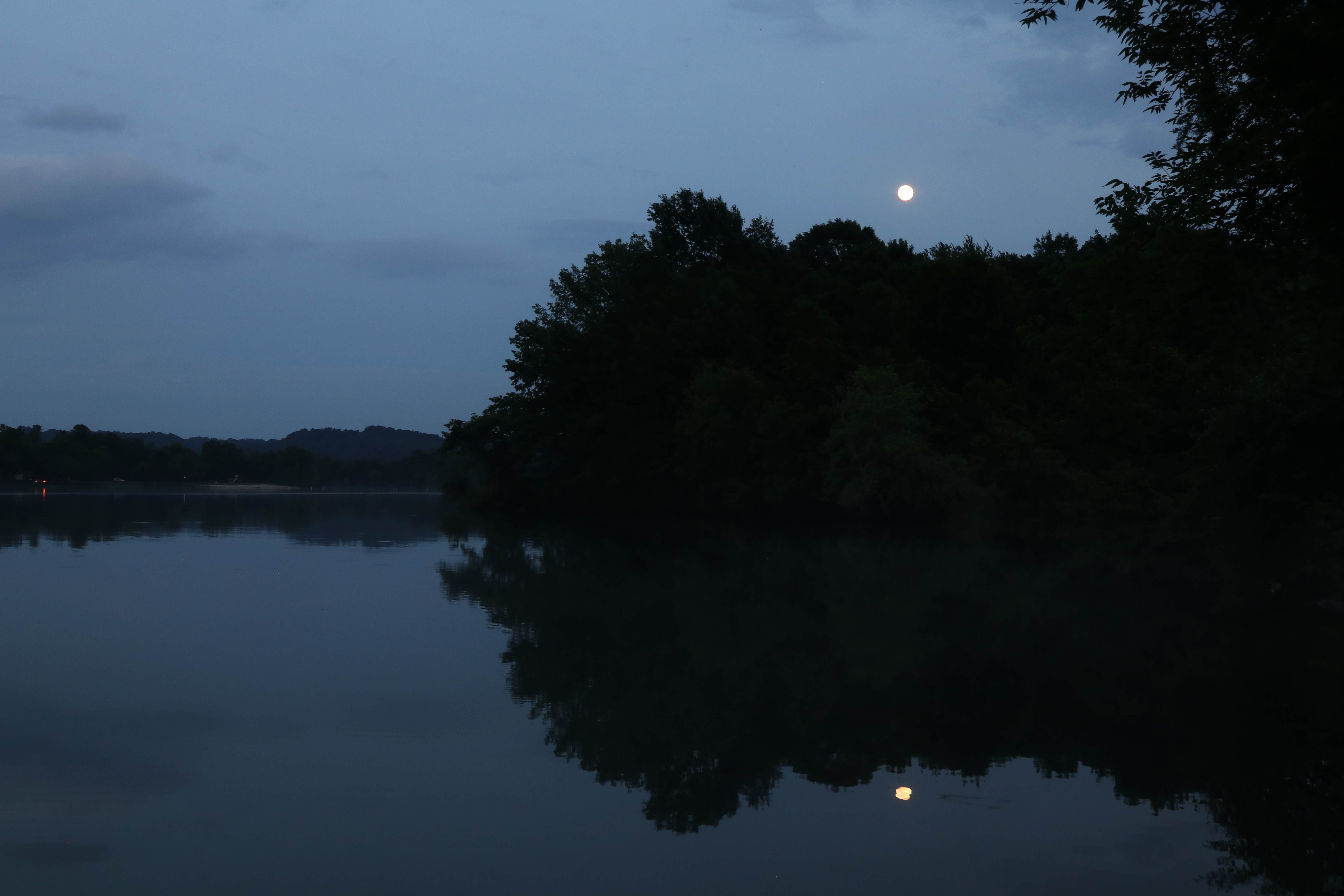 The bats came from the pond, which is to the right of where this picture is, and flew over our heads and above the water.