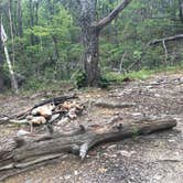 Review photo of Cave Creek Trail Backcountry Campground by Ethan K., November 1, 2017