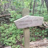 Review photo of Cave Creek Trail Backcountry Campground by Ethan K., November 1, 2017
