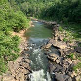 Review photo of Bandy Creek Campground — Big South Fork National River and Recreation Area by Chris Y., June 28, 2020