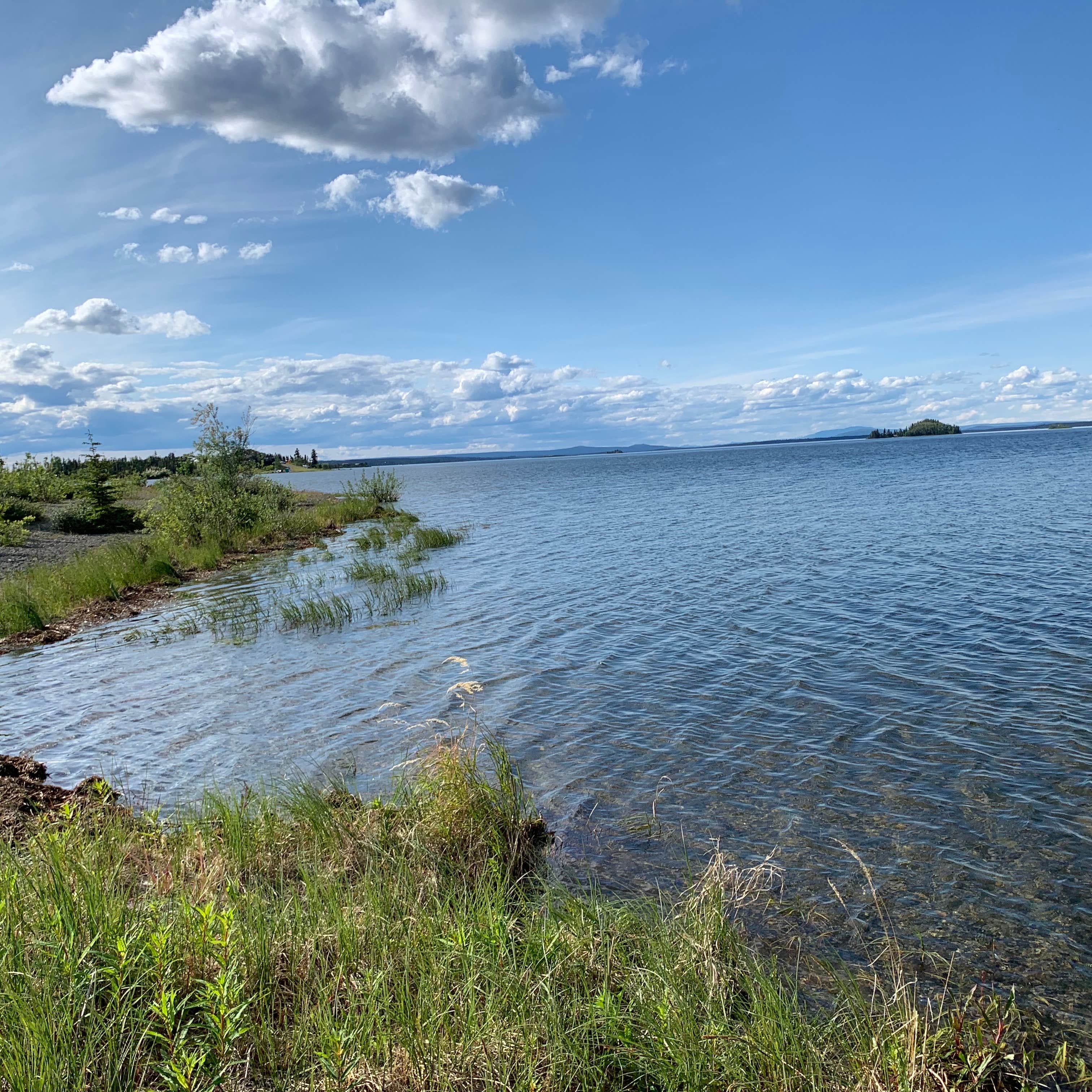 Camper-submitted photo at Lake Louise State Rec Area near Glennallen, AK