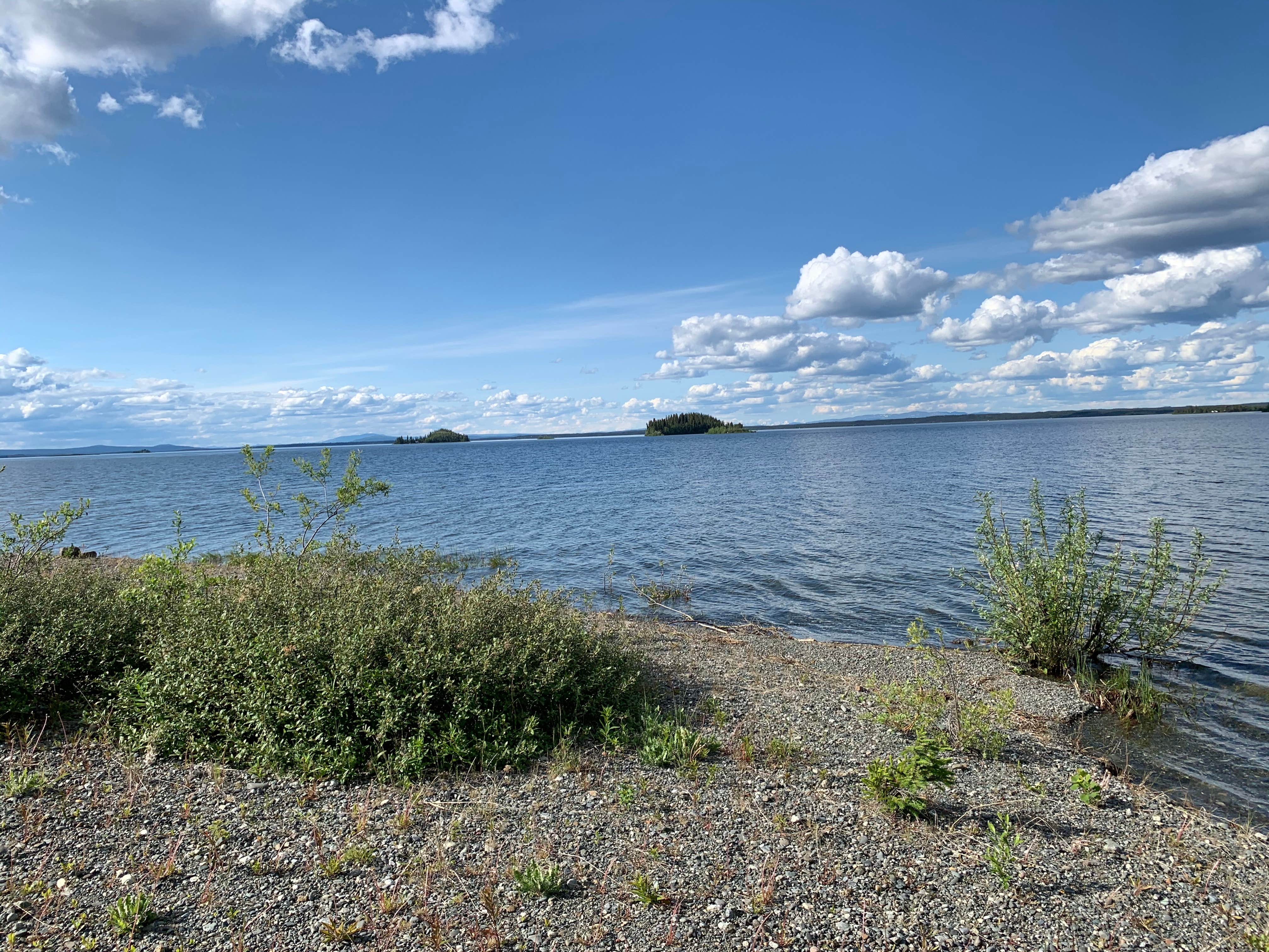 Camper-submitted photo at Lake Louise State Rec Area near Glennallen, AK