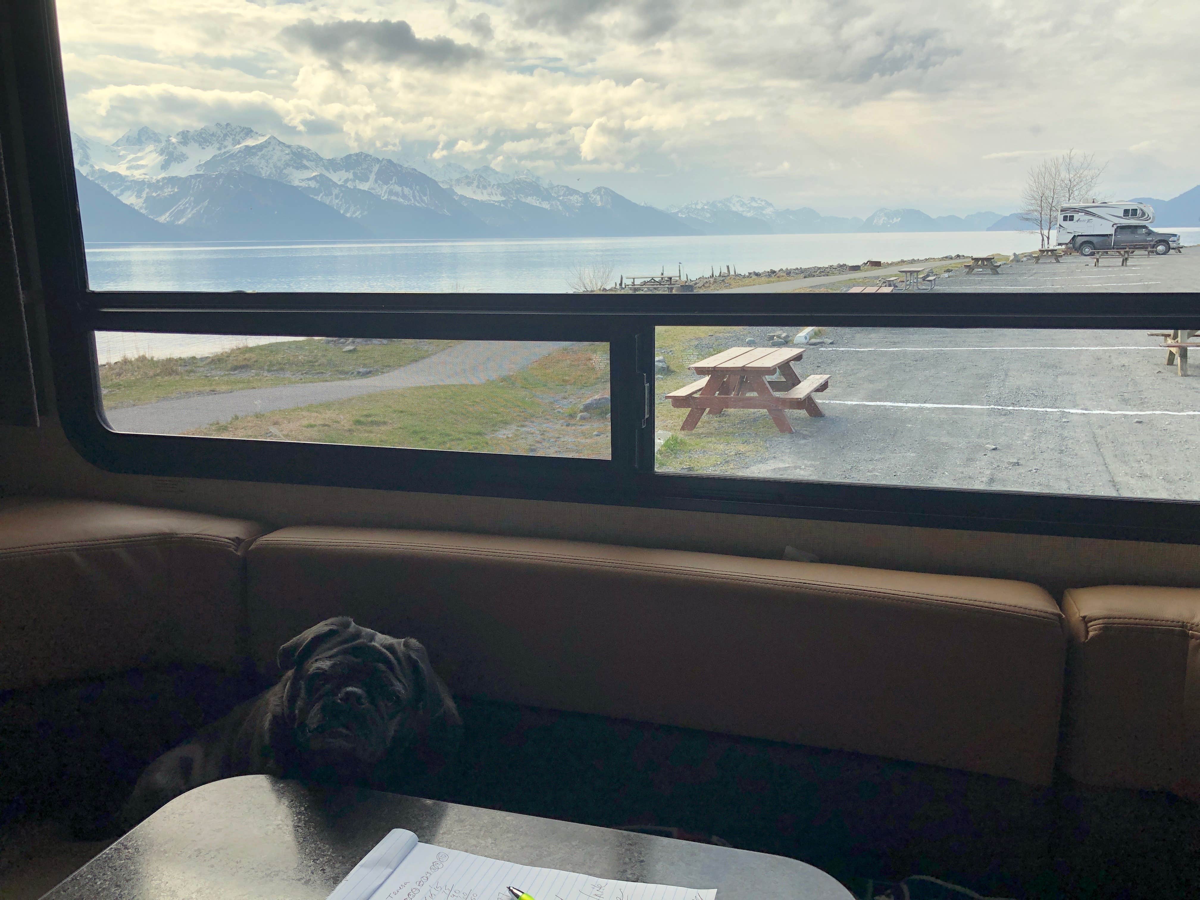 Tanya B.'s photo of camping with pets at Seward City Campgrounds near Kenai Fjords National Park
