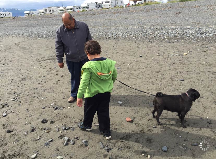 Tanya B.'s photo of camping with pets at Heritage RV Park near Ninilchik, AK