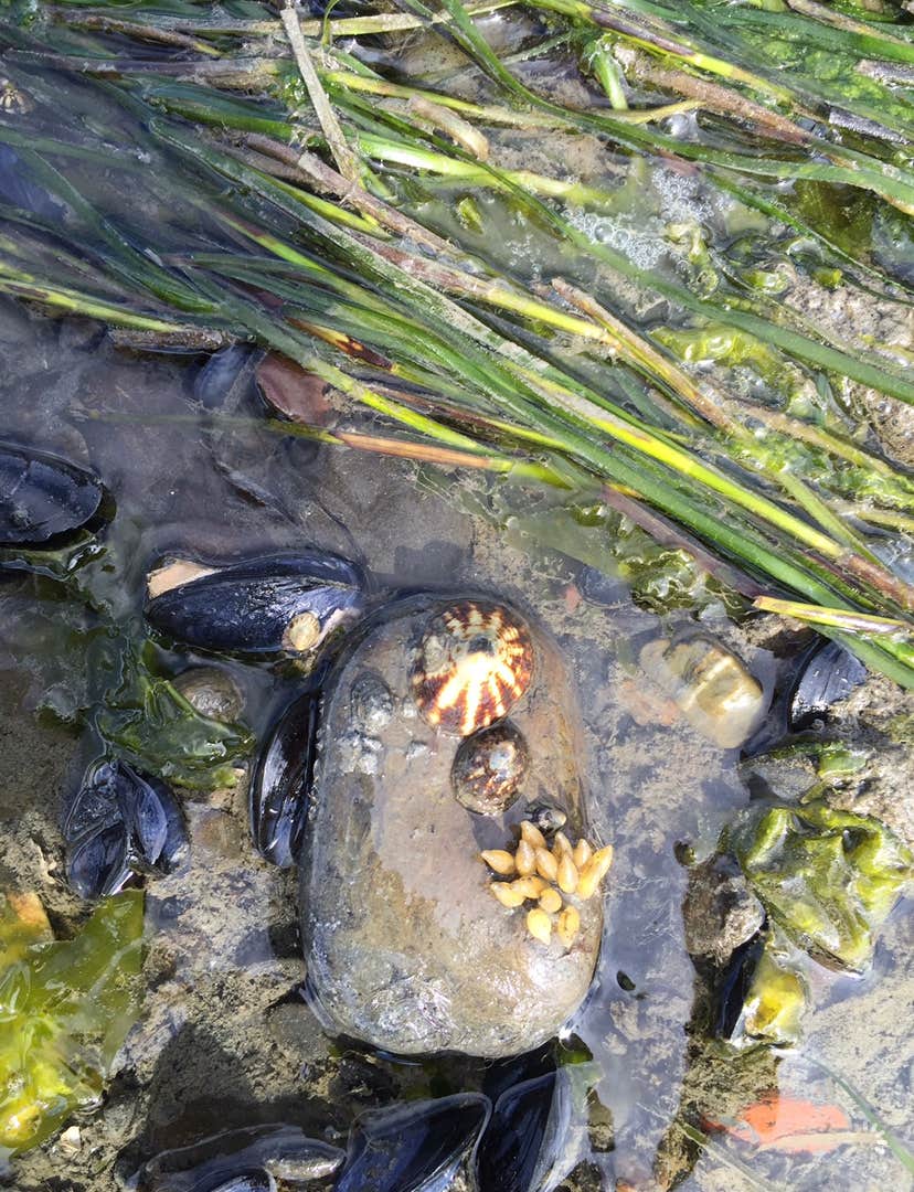 Camper-submitted photo at Heritage RV Park near Seldovia, AK