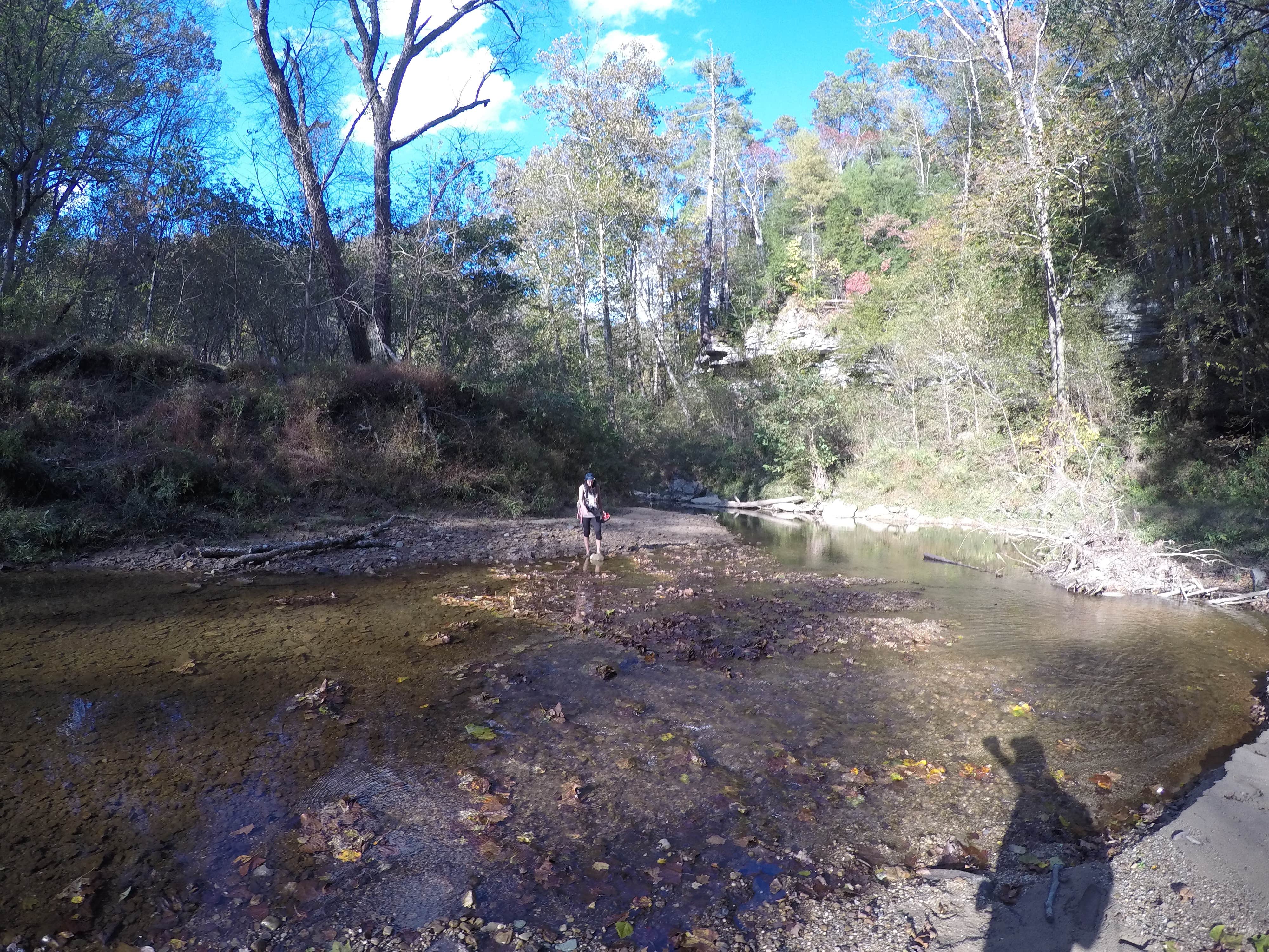 Camper submitted image from Grove - 4