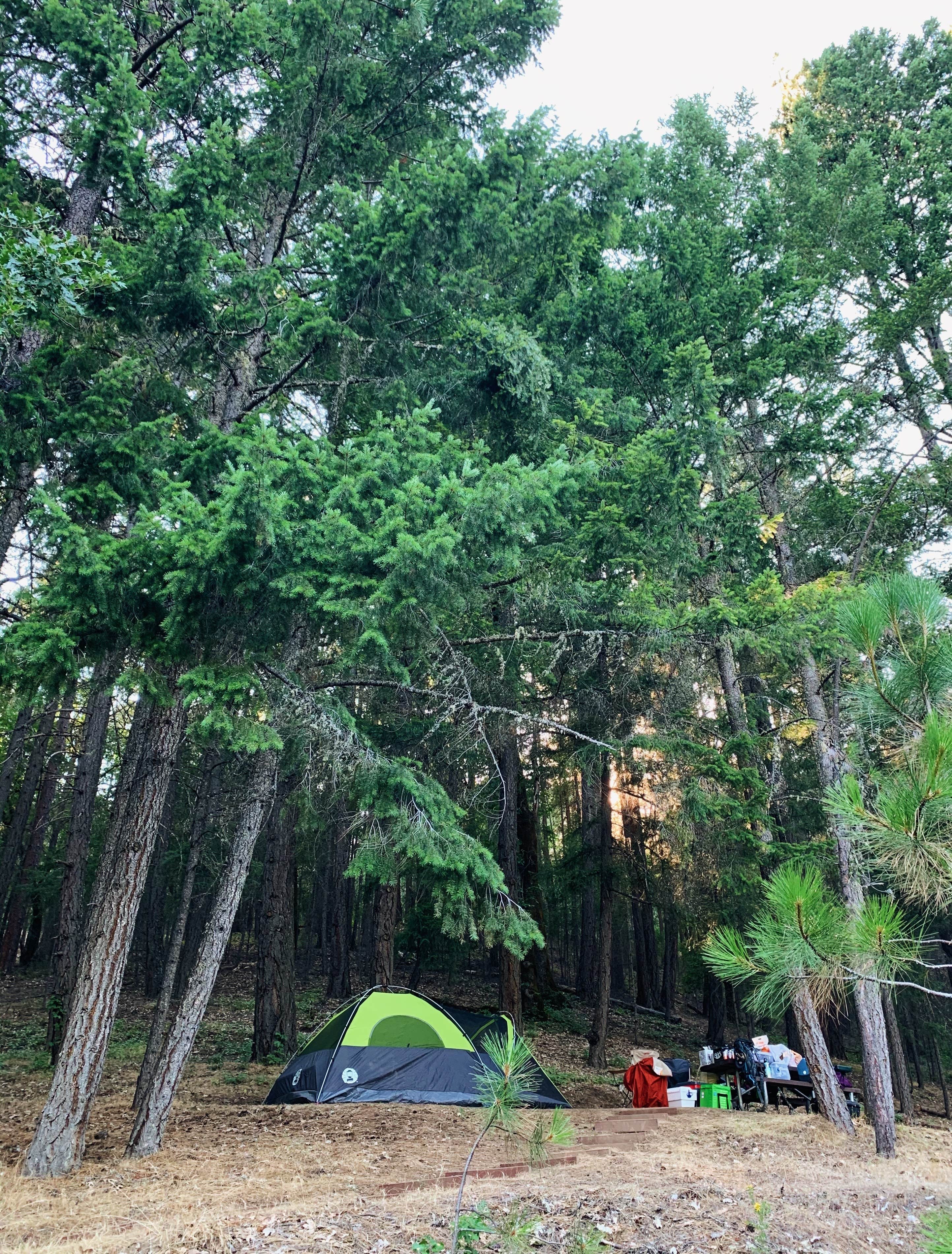Camper-submitted photo at Mary Smith Campground near Redding, CA
