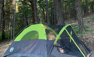 Azizah T.'s photo at Mary Smith Campground near Whiskeytown National Recreation Area