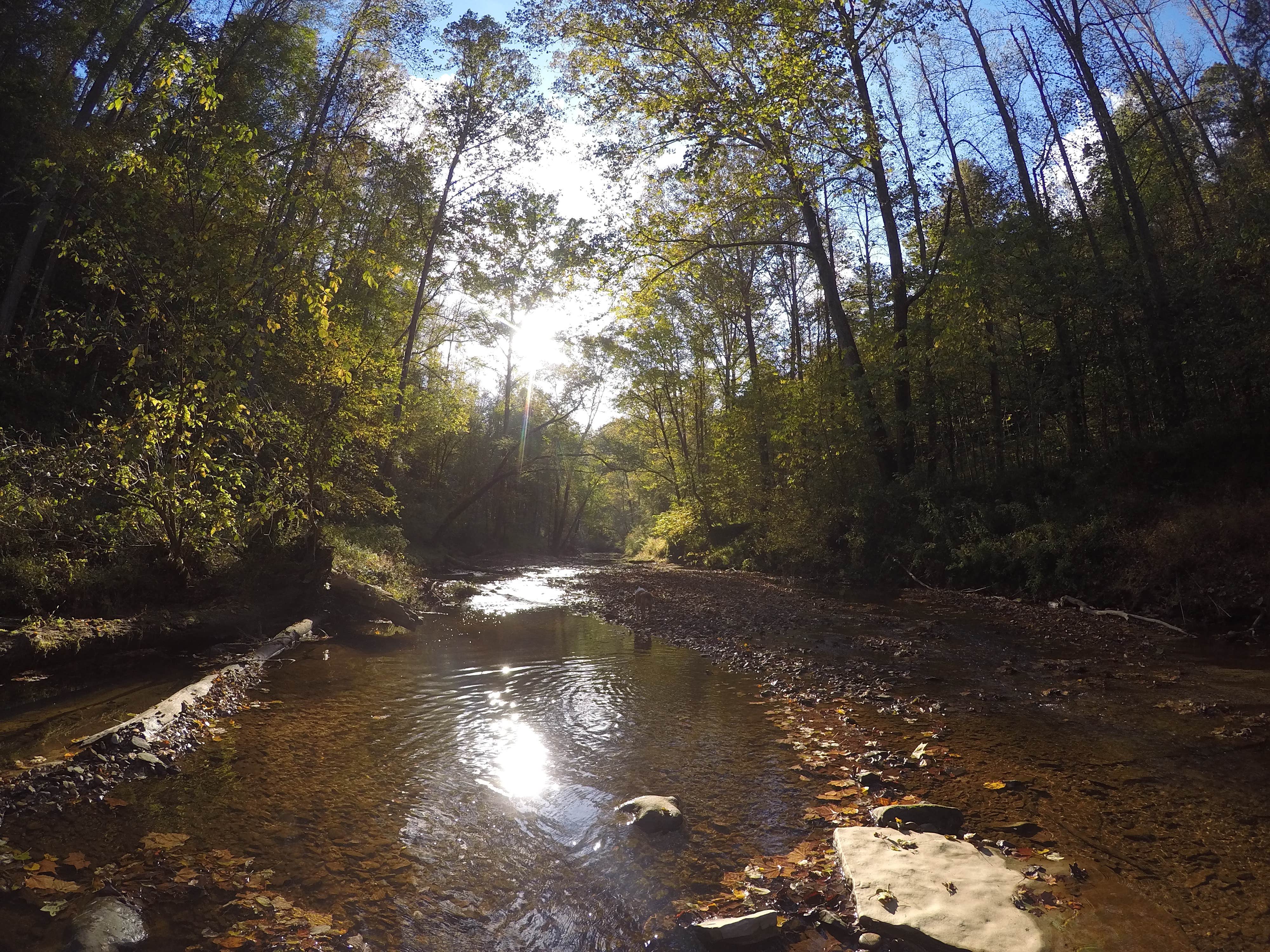 Camper submitted image from Grove - 2