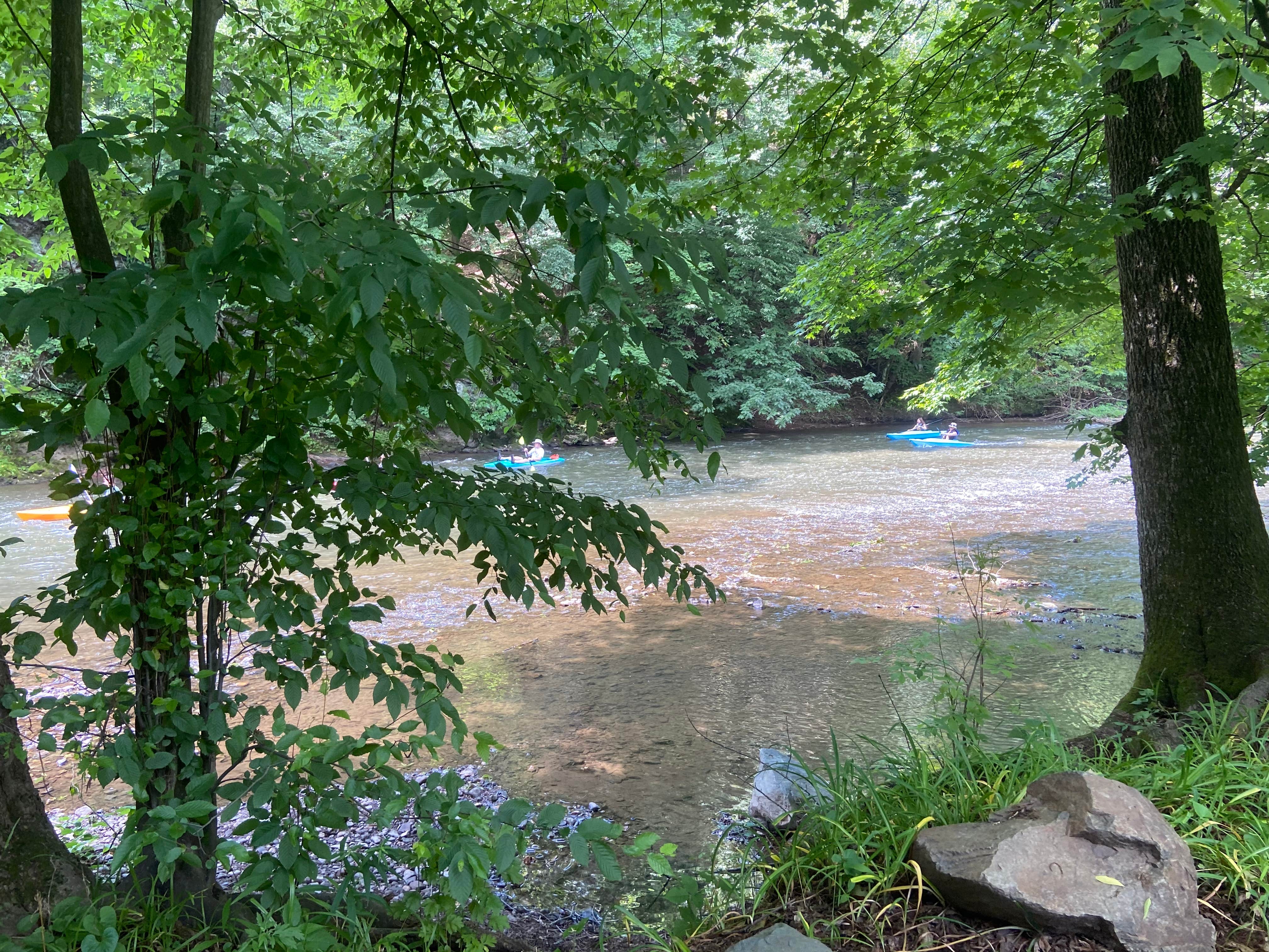 Camper-submitted photo at Camp Carr Campground near Tewksbury, NJ
