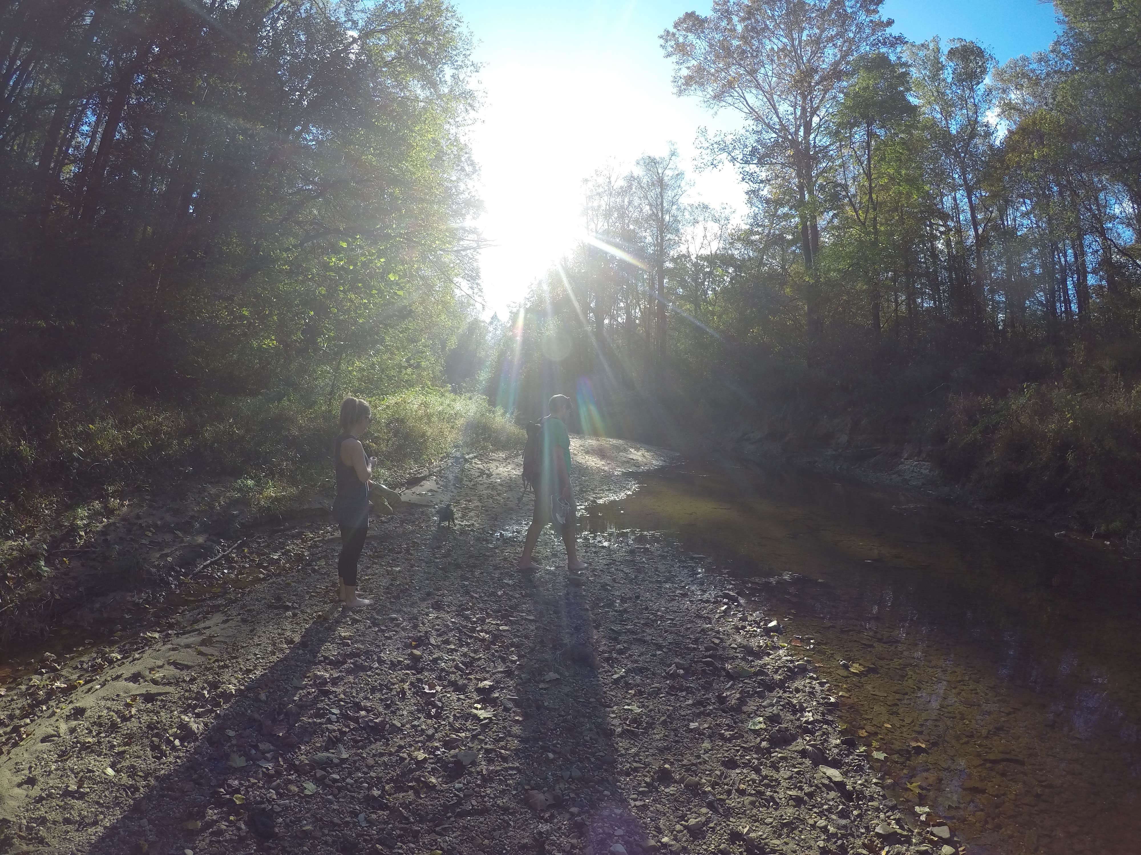 Camper submitted image from Grove - 3