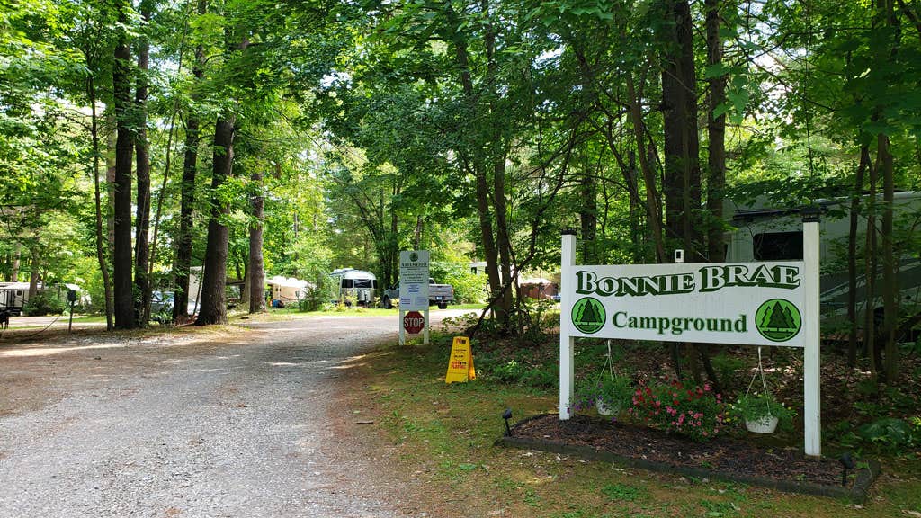 Camper submitted image from Bonnie Brae Cabins and Campsites - 4