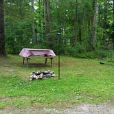 Review photo of Bonnie Brae Cabins and Campsites by Jean C., June 29, 2020