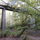 Review photo of Grove by Daniel S., November 1, 2017